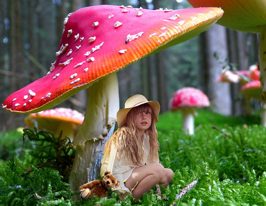 Cedar® Grace Foldable Umbrella: The Ultimate Blend of Elegance and Strength