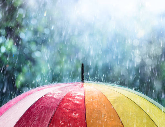 Stay Dry in Style with the Cedar® Maxi Strength Foldable Umbrella