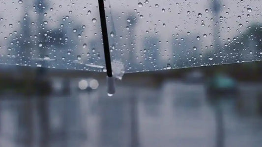 Stay Stylish and Dry with Cedar® Umbrellas